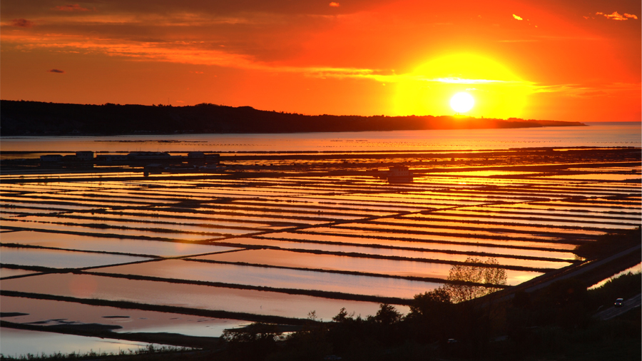 Secovlje Saltpans