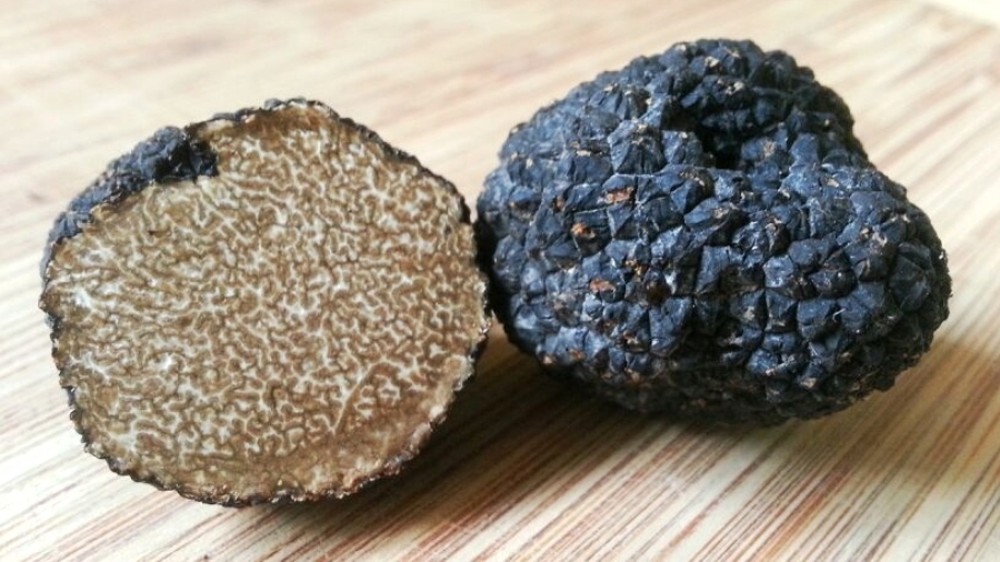 Summer Black Truffle