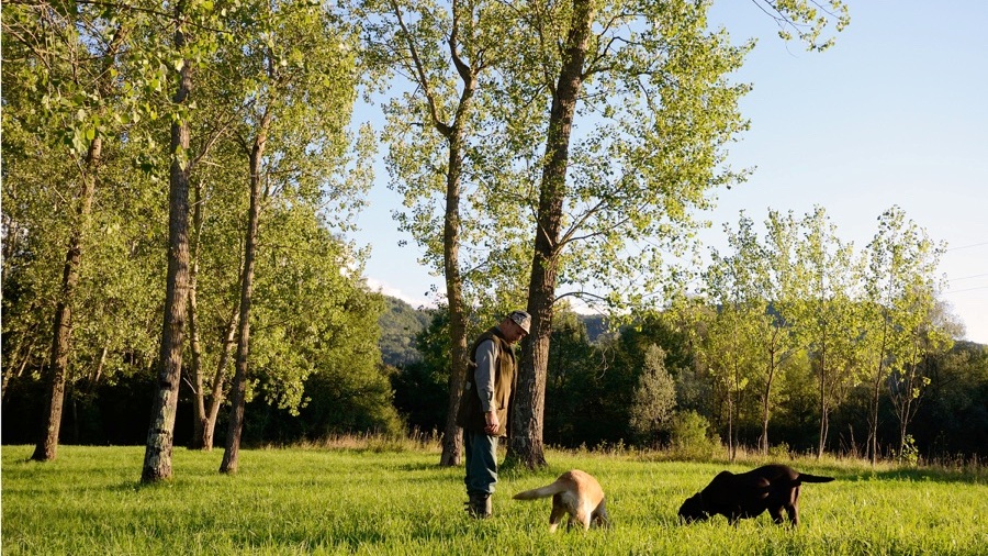 Truffle Hunting