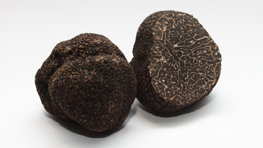 Fine Black Truffle