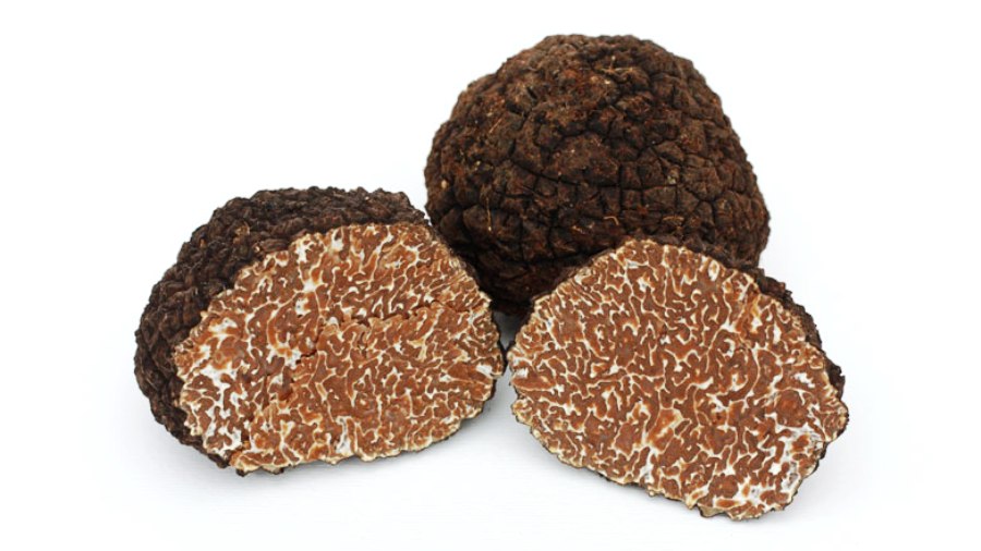 Black Truffle Uncinatum