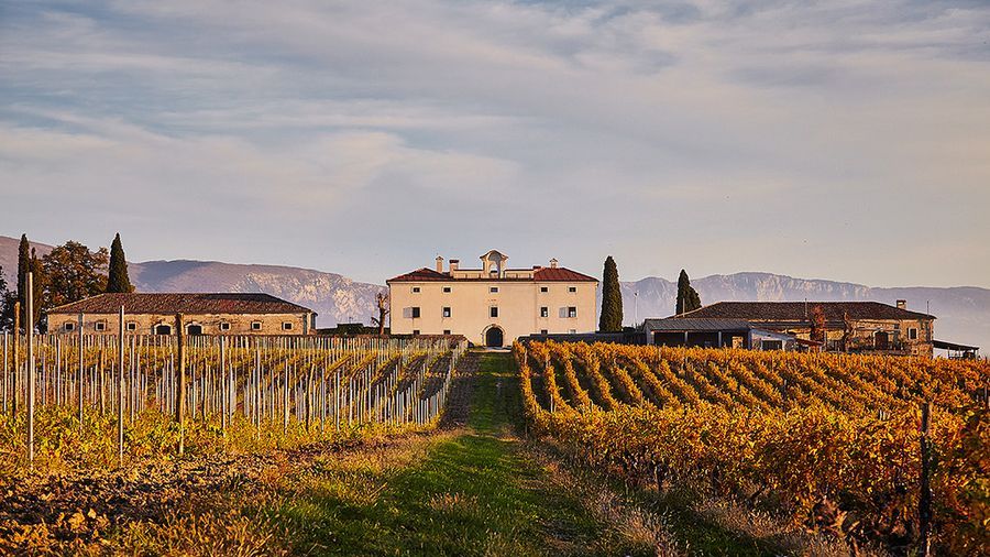 Castle Belaj Wine Estate
